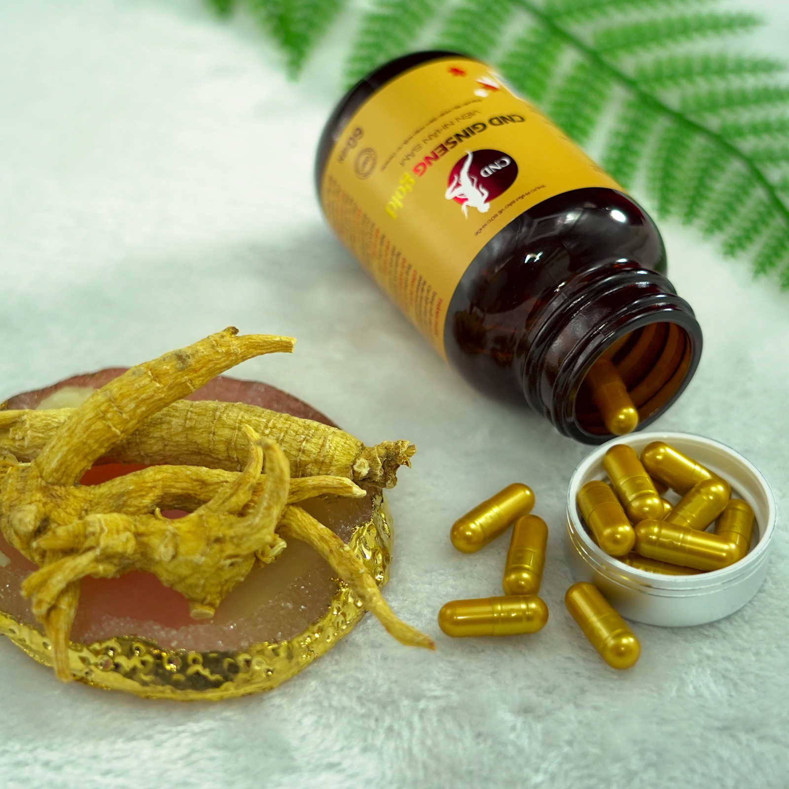 Viên nhân sâm Canada Tăng cường sức khỏe, đề kháng, giảm mệt mỏi (60 viên)